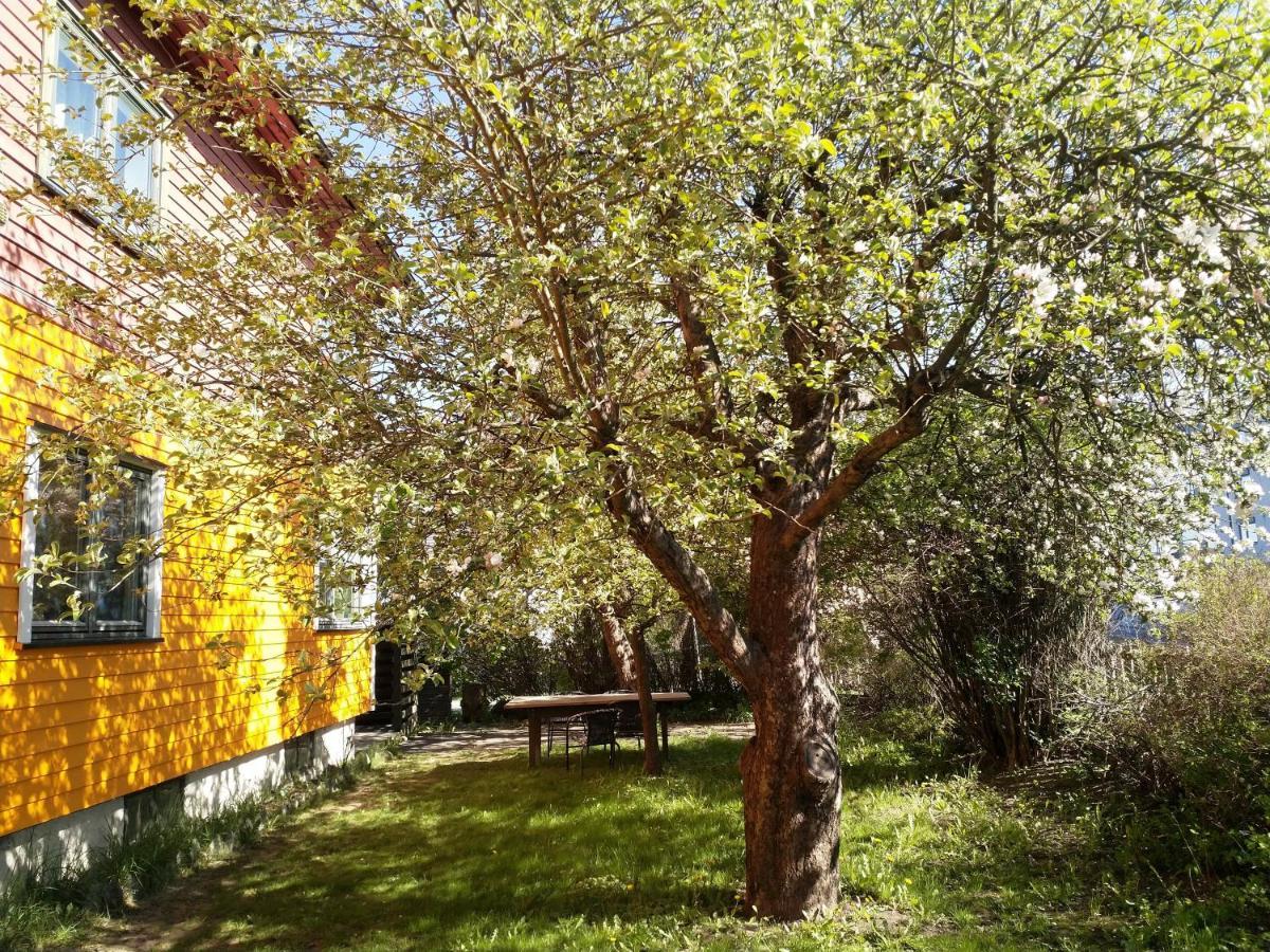 Renovated Semi- Basement 2 Bedrooms Furnished Apartment - Close To Everything In Moss Exteriér fotografie
